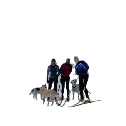 staff, animal, creature, jacket transparent PNG cut-out