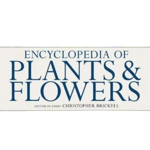 flower, cover, royal, horticultural transparent PNG cut-out