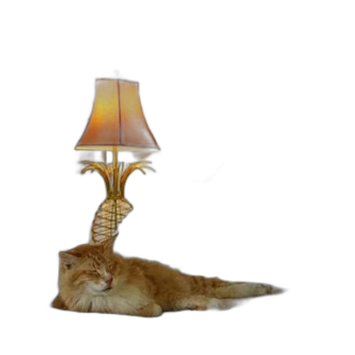 furniture, staff, animal, hat transparent PNG cut-out