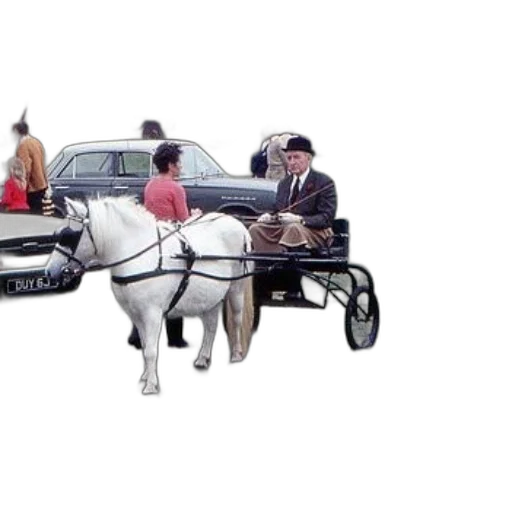 car, staff, animal, photorealistic transparent PNG cut-out