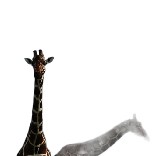 animal, creature, staff, weapon transparent PNG cut-out