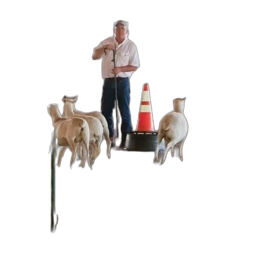 staff, animal, furniture, bottle transparent PNG cut-out