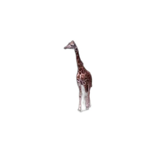 animal, creature, staff, weapon transparent PNG cut-out