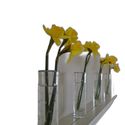 furniture, flower, crown, 3d render transparent PNG cut-out