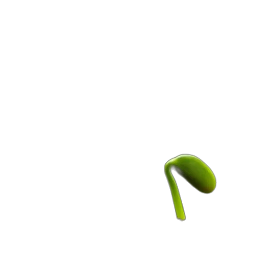 food, staff, weapon, furniture transparent PNG cut-out