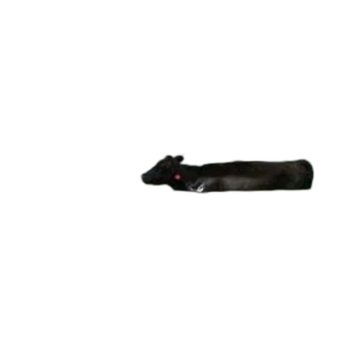 staff, weapon, animal, shoes transparent PNG cut-out