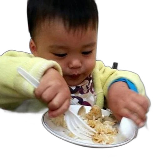 food, weapon, jewelry, creature transparent PNG cut-out