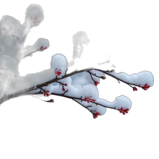 weapon, tree, staff, robot transparent PNG cut-out