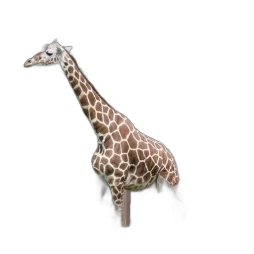 animal, staff, creature, jewelry transparent PNG cut-out