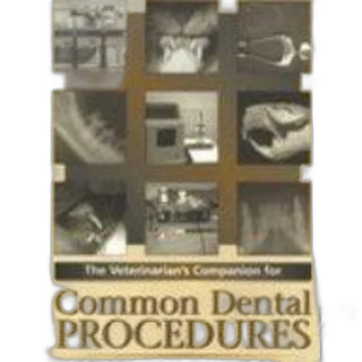 cover, veterinarian, companion, common transparent PNG cut-out