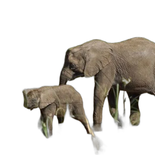 animal, creature, concept art, 3d render transparent PNG cut-out
