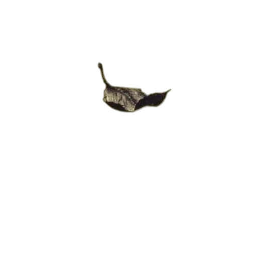 hat, shoes, mask, staff transparent PNG cut-out