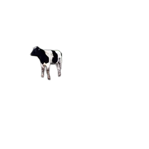 animal, robot, creature, food transparent PNG cut-out