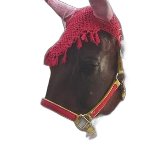 mask, hat, jewelry, crown transparent PNG cut-out