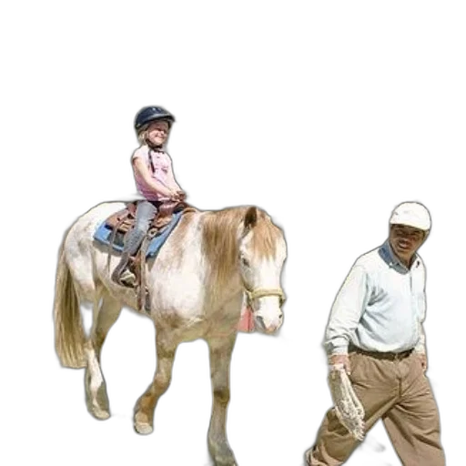 animal, hat, creature, staff transparent PNG cut-out