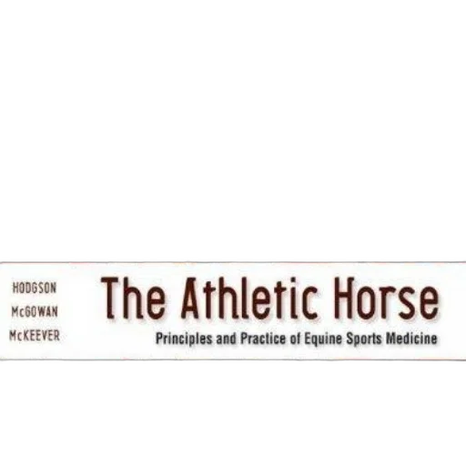 cover, athletic, horse, principles transparent PNG cut-out