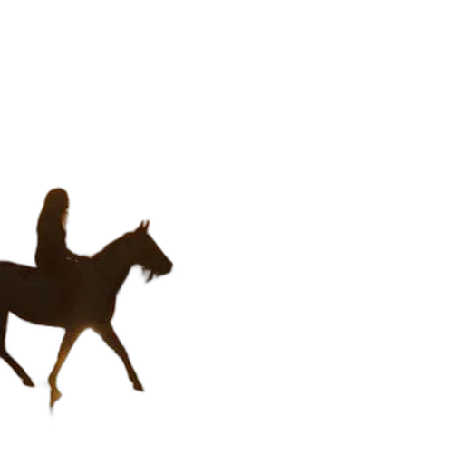 animal, crown, hat, staff transparent PNG cut-out