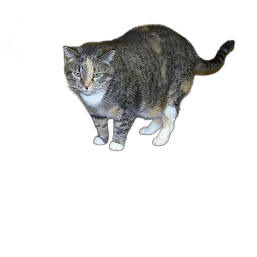 animal, creature, staff, robot transparent PNG cut-out