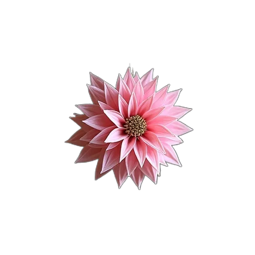 flower, jewelry, crown, staff transparent PNG cut-out