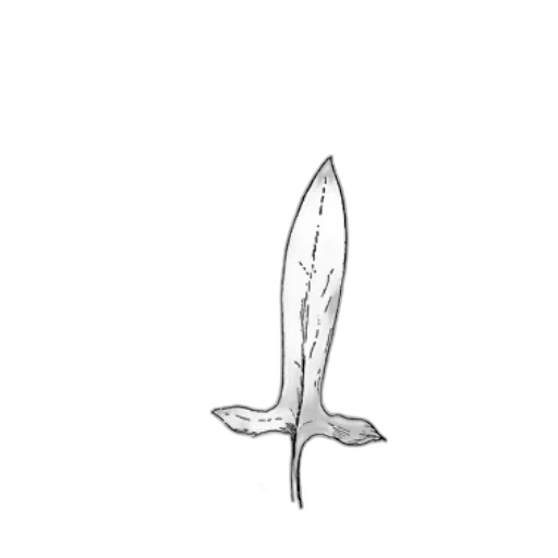 sword, weapon, staff, creature transparent PNG cut-out