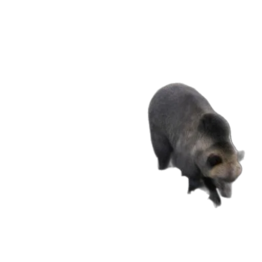 animal, creature, food, staff transparent PNG cut-out