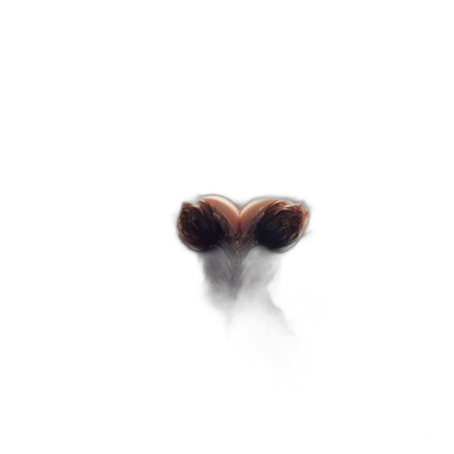 hair, creature, animal, face transparent PNG cut-out