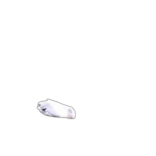 shoes, jewelry, bottle, weapon transparent PNG cut-out