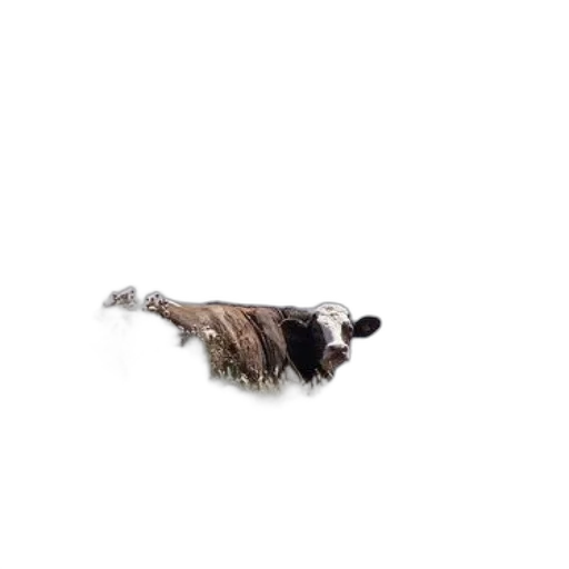 animal, creature, hair, staff transparent PNG cut-out