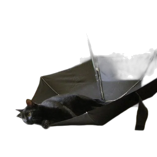 umbrella, shoes, hat, weapon transparent PNG cut-out