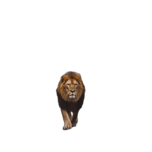 jewelry, animal, crown, staff transparent PNG cut-out