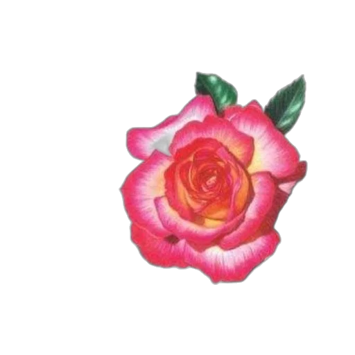 flower, crown, jewelry, staff transparent PNG cut-out