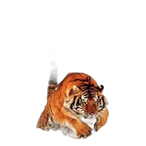 animal, creature, mask, hat transparent PNG cut-out