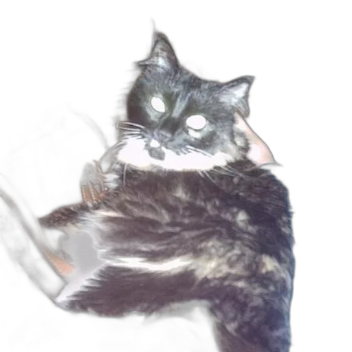 animal, creature, staff, robot transparent PNG cut-out