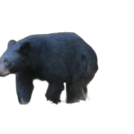 animal, creature, staff, weapon transparent PNG cut-out