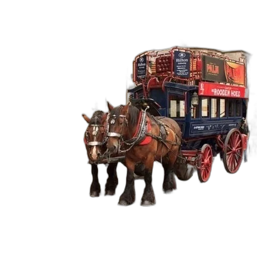 car, animal, furniture, 3d render transparent PNG cut-out