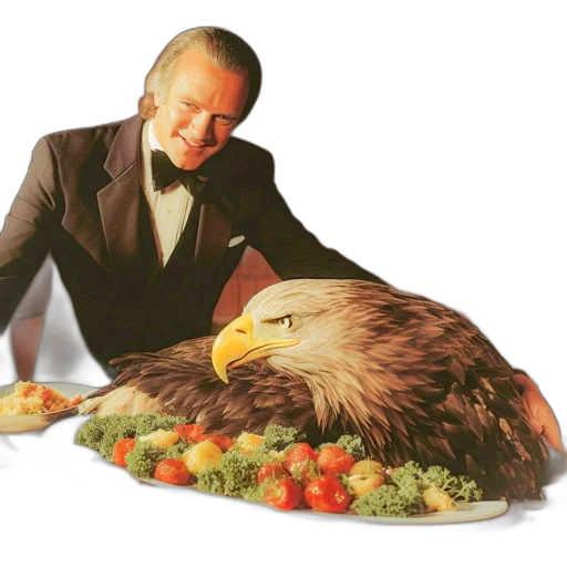 jacket, animal, food, man transparent PNG cut-out