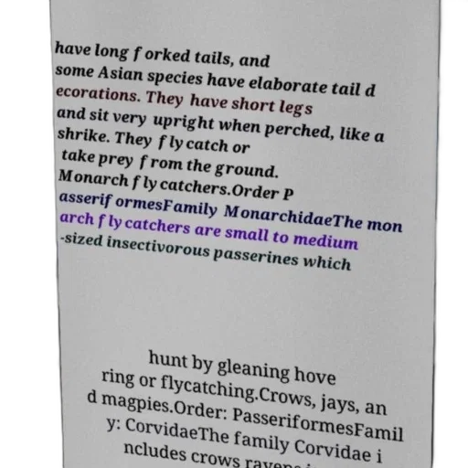 jacket, text-based, image, describing transparent PNG cut-out