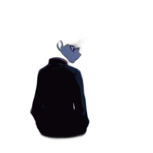 jacket, hat, staff, mask transparent PNG cut-out
