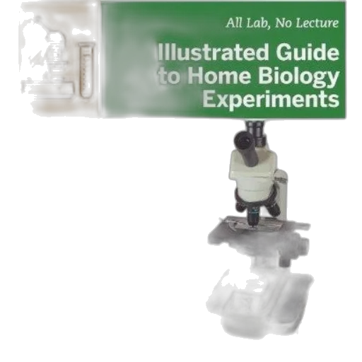 illustrated, guide, home, biology transparent PNG cut-out