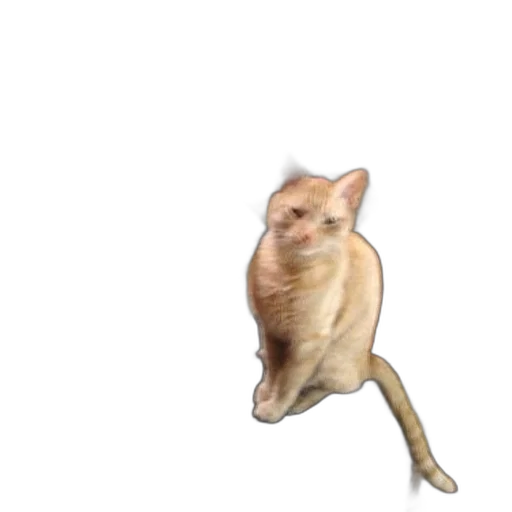 animal, staff, creature, weapon transparent PNG cut-out