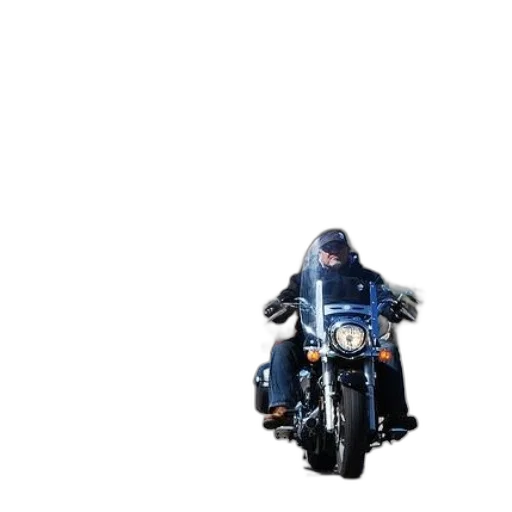 jacket, animal, car, creature transparent PNG cut-out