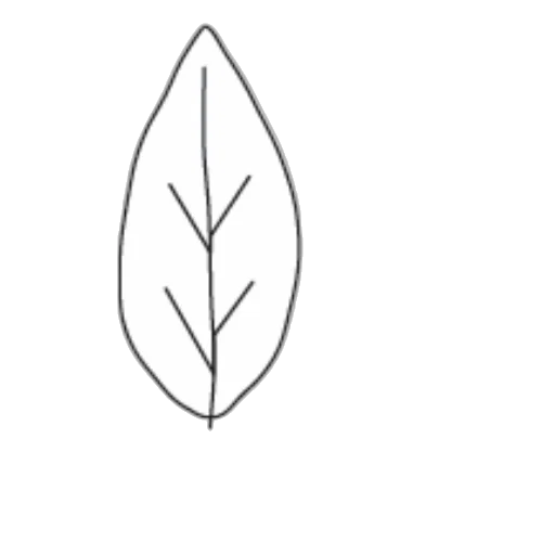 crown, flower, tree, jewelry transparent PNG cut-out