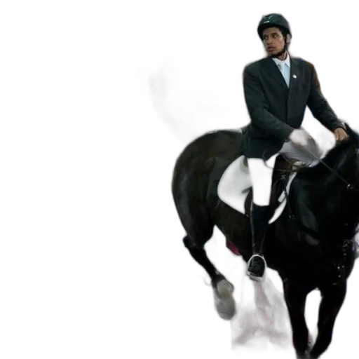 jacket, animal, hat, concept art transparent PNG cut-out
