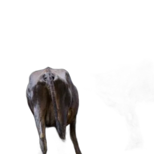 animal, creature, staff, mask transparent PNG cut-out