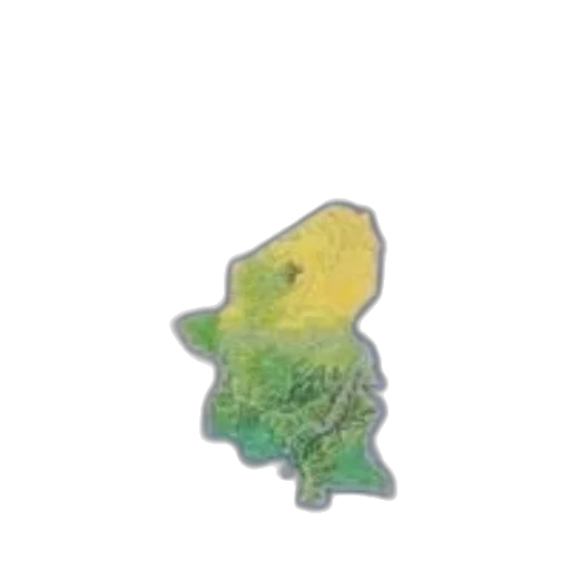 dragon, hat, flower, creature transparent PNG cut-out