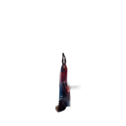 weapon, sword, staff, bottle transparent PNG cut-out