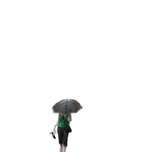 umbrella, dress, staff, jacket transparent PNG cut-out
