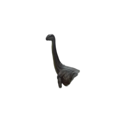 staff, animal, hat, weapon transparent PNG cut-out
