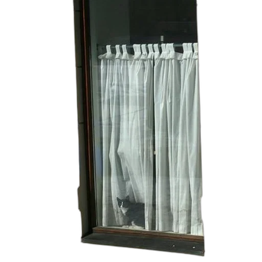 furniture, staff, dress, umbrella transparent PNG cut-out