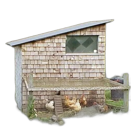 building, animal, furniture, 3d render transparent PNG cut-out